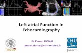Left atrial Function In Echocardiography · Left atrial Function In Echocardiography ... Deformation –Strain (%) Index of backscattering ... •HCM 22±8% •LVH 38±4%