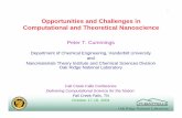 Opportunities and Challenges in Computational and ...computing.ornl.gov/workshops/FallCreek04/posters/p_cummings.pdfOpportunities and Challenges in Computational and Theoretical Nanoscience