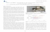 Silent owl flight: experiments in the aeroacoustic wind tunnel · ight: experiments in the aeroacoustic wind tunnel T. Geyer, E. Sarradj, C. Fritzsche ... Figure 1: Setup showing