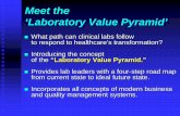 Meet the ‘Laboratory Value Pyramid’ - Lab Quality Confab · Meet the ‘Laboratory Value Pyramid’ What path can clinical labs follow to respond to healthcare’s transformation?