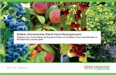 Edible Ornamental Plant Pest Management · Insect Killer Once & Done Concentrate ... IRAC Code designations and Related Modes of Action ...  ...