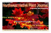 Volume 10, Issue 4-2013 Fall 2013 Northwest Native Plant Journal · Northwest Native Plant Journal Volume 10, Issue 4-2013 Fall 2013 A Monthly Web Magazine Published by The Wild Garden:
