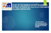 Evaluation of Aqueous extract of roots of Anacyclus ... of the diuretic activity in aqueous extract of roots of anacyclus pyrethrum in albino wistar rats • dr. divya reddy pg in