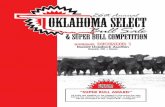 Saturday, december 1 durant Livestock auction · Oklahoma Select Birkner, ... Saturday, december 1 durant Livestock auction Durant, OK • Noon Bulls sell first followed immediately