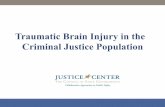 Traumatic Brain Injury in the Criminal Justice Population · Traumatic Brain Injury in the Criminal Justice Population . Presenters ... head or a penetrating head injury that disrupts