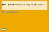 R48 Effective Cash Pooling and Facilities Process Diagramsapidp/012002523100014621962014E/... · Process Flow Diagram ... Management System AD D 1 ... Data to Bank Analyzer K47 Accounting