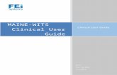 MAINE-WITS Clinical User Guide · Web viewWITS is a web based application specifically designed for the State of Maine to effectively manage substance abuse treatment data collection