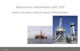 Natural Gas Dehydration with TEG · Natural Gas Dehydration with TEG Process simulation using the Aspen HYSYS simulator 28/11/2017 1