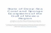 The State of Deep-Sea Coral and Sponge Ecosystems … of Deep‐Sea Coral and Sponge Ecosystems of the Gulf of Mexico Region Chapter 11 in The State of Deep‐Sea Coral and Sponge
