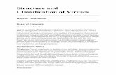 Structure and Classification of Viruses - USALcidta.usal.es/cursos/enfermedades/modulos/Libros/UNIDAD3/virus... · Structure and Classification of Viruses ... of eukaryotic or prokaryotic