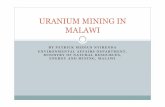 09 Uranium Mining in Malawi - GNSSN Home Documents/Meetings... · URANIUM MINING IN MALAWI. OUTLINE ... 2005 –2007 : BFS, EIA completed. ... when all dumps are constructed. Run-off