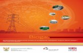 Biogas - Department of Environmental Affairs · CBG Compressed Biogas as a Substitute for CNG ... CNG Compressed Natural Gas ... Comparing net price benefit between energy carriers