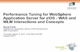 Performance Tuning for WebSphere Application Server …€¦ ·  · 2011-02-11Performance Tuning for WebSphere Application Server for z/OS ... and projections using standard IBM