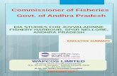 Commissioner of Fisheries Govt. of Andhra Pradeshappcb.ap.nic.in/wp-content/uploads/2017/11/Executive...Commissioner of Fishe ries WAPCOS Ltd. Govt. of Andhra Pradesh 1 Executive Summery