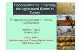 Opportunities for Financing the Agricultural Sector in … and Finance Group Leader FAO, Rome, Italy Opportunities for Financing the Agricultural Sector in Turkey An Evolving Agriculture