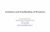 Isolation and Purification of Proteins - KSU Facultyfac.ksu.edu.sa/sites/default/files/10_pht462.pdf · Isolation and Purification of Proteins ... Isoelectric Focusing (IEF) Step