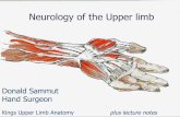 Neurology of the Upper limb - donaldsammut.com · Neurology of the Upper limb ... The$inﬁltration$must$NOT$be$into$the$nerve$substance$–$this$causes$direct$nerve$damage.$ ...