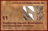 Sustaining Aquatic Biodiversity and Ecosystem Services …tvhsapes.weebly.com/uploads/7/5/9/5/75954777/chapter… ·  · 2016-03-16Sustaining Aquatic Biodiversity ... Sustaining