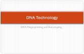 Karyotypes, DNA Fingerprinting, and Meiosis · DNA Fingerprinting and Karyotyping ... DNA Fingerprinting ... Karyotypes, DNA Fingerprinting, and Meiosis Author: ajohnson01