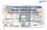 SPECIMEN COLLECTION AND LABELLINGd2xk4h2me8pjt2.cloudfront.net/webjc/attachments/394/2b99f1c... · SPECIMEN COLLECTION AND LABELLING (For NUHS Regional Healthcare ... Purging blood