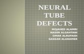 PowerPoint Presentation€¦ · PPT file · Web view · 2011-12-23What is Neural tube defect ? Failure of normal fusion of the neural plate to form neural tube during the first