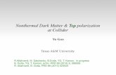 Nonthermal Dark Matter & Top polarization at Colliderpeople.physics.tamu.edu/kamon/...DM/150615_YuGao... · Nonthermal Dark Matter & Top polarization at Collider Yu Gao Texas A&M