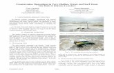 Countermine Operations in Very Shallow Water and Surf … · Countermine Operations in Very Shallow Water and Surf Zone: ... through-water communication channels, ... up to much longer