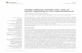Living without insulin: the role of leptin signaling in ... · has long been thought to be essential for normal development and coordinated metabolic pro-cesses ... et al., 1999).