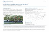 Jatropha integerrima: Peregrina - University of Floridaedis.ifas.ufl.edu/pdffiles/ST/ST31900.pdf ·  · 2014-09-12Jatropha integerrima: Peregrina 2 Crown density: open Growth rate:
