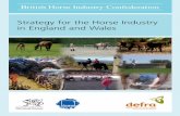 Strategy for the Horse Industry in England and Wales · UK, December 2005, on material containing 80% post-consumer waste and 20% Elemental Chlorine Free pulp. Product code PB 11323.