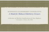 A Model for Midwest Elderberry Growersmidwest-elderberry.coop/overview/mec-a-model-for-midwest.pdf · MINNESOTA ELDERBERRY COOPERATIVE A Model for Midwest Elderberry Growers A Review