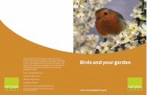 wild birds in your garden - Leicestershire and Rutland ... · birds that visit your garden. You may already be making efforts to entice them there. The money spent on food for garden
