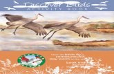 Discover Birds - Tennessee Watchable Wildlife book... · Discover Birds ACTIVITY BOOK How do birds fly, communicate, stay warm in the winter? 2nd Edition Look inside and discover