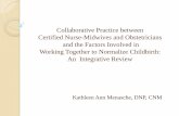 Collaborative Practice between Certified Nurse …dnpconferenceaudio.s3.amazonaws.com/2013/1PODIUM2013/Menasche...Collaborative Practice between Certified Nurse-Midwives and Obstetricians