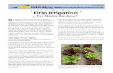 UNIVERSITY OF ALASKA FAIRBANKS Drip Irrigation · Drip irrigation is effective in ... tery timers for gravity-fed irrigation ... Published by the University of Alaska Fairbanks Cooperative