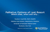 Palliative Options of Last Resort - GIPPEC · Voluntary active euthanasia . ... Quill, T.E., Lo, and D.W. Brock, Palliative options of last resort: A comparison of voluntarily stopping