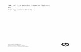 HP 6125 Blade Switch Series - Hewlett Packardkmcs-service.austin.hp.com/km-ext/kmcsdirect/emr_na-c03500159-2.pdf · HP 6125 Blade Switch Series IRF Configuration Guide Part number: