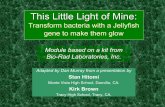 Module based on a kit from Bio-Rad Laboratories, Inc. · Module based on a kit from Bio-Rad Laboratories, Inc. ... Bacterial Transformation Lab ... Without pGLO plasmid, nothing can