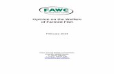 Opinion on the Welfare of Farmed Fish · Welfare implications of breeding and breeding technologies in commercial ... 1 Where we refer to “Government” we are addressing the ...