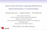 Euler-Euler and Euler-Lagrange Modeling of Wood ... · Euler-Euler and Euler-Lagrange Modeling of ... CFD modeling for particulate ﬂow ... Euler-Euler and Euler-Lagrange Modeling