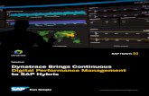 Datasheet Dynatrace Brings Continuous Digital Performance ... · j 6$36(RUDQ6$3D¨OLDWHFRPSDQ\ $OOULJKW VUHVHUYHG Dynatrace Brings Continuous Digital Performance Management to SAP