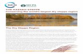 THE KAZAKH STEPPE Conserving the world’s largest dry ... · 1 Temperate Grasslands Conservation Initiative: The Kazakh Steppe THE KAZAKH STEPPE Conserving the world’s largest