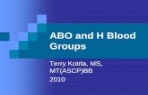 ABO and H Blood Groups - docshare01.docshare.tipsdocshare01.docshare.tips/files/22745/227459621.pdf · ABO Discrepancies Test against ...
