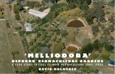Melliodora eBook v1 - Permaculture Principles · sustainable living at ‘melliodora’ hepburn permaculture gardens a case study in cool climate permaculture 1985 - 2005 david holmgren
