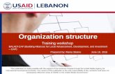Organization structure - BALADIbaladi-lebanon.org/.../18-06-2016_Organization-Structure_English.pdf · 1 Functional Divisional Matrix ... Strengths and weaknesses of a divisional