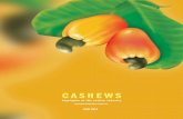 CASHEWS - African Cashew Alliance · major raw cashew trade A WORLD VIEW ... † Halts and delays in major West African raw shipments to India and Vietnam because of civil war in