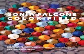 SONIA FALCONE COLOR FIELD · Sonia Falcone: Color Field 55th Biennale di Venezia El Atlas del Imperio (The Atlas of the Empire) Latin America - Pavilion of the Istituto Italo-Latinoamericano