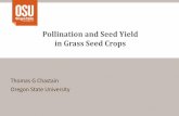 Pollination and Seed Yield in Grass Seed Cropsblogs.oregonstate.edu/seedproduction/files/2013/06/Pollination-and... · the production of seed. ... Effect of temperature and exposure