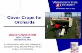 Cover Crops for Orchards - Tree Fruit Research & … · Cover Crops for Orchards. Neilsen and Neilsen, ... soil temperature inverse to the amount of herbage ... Cover crop mix –