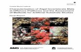 Characterization of Algal-Invertebrate Mats at Offshore ...invertebrates.si.edu/boem/reports/CAIMP_FinalRpt.pdf · Characterization of Algal-Invertebrate Mats ... of Methods for Artificial